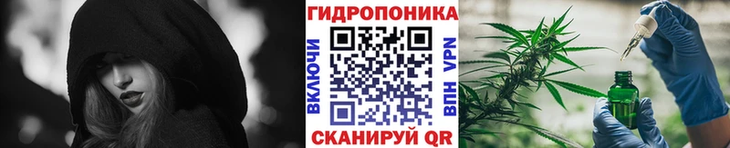 Какие есть наркотики Вязьма АМФ  Alpha PVP  МЕТАМФЕТАМИН  Мефедрон  Codein  ГАШИШ  Канабис 